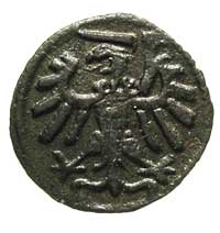 denar 1539, Gdańsk, po bokach herbu litery M-S, T. 20, bardzo rzadka i ładnie zachowana moneta