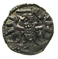 denar 1552, Gdańsk, H-Cz. 7135 R7, T. -, bardzo rzadka moneta