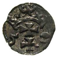 denar 1552, Gdańsk, H-Cz. 7135 R7, T. -, bardzo rzadka moneta