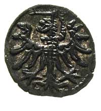 denar 1554, Gdańsk, odmiana z wąską koroną, T. 8, rzadki