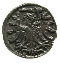 denar 1554, Gdańsk, odmiana z szeroką koroną, T. 8, rzadki
