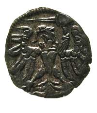 denar 1557, Gdańsk, odmiana z szeroką i szpiczastą koroną, T. 10, rzadki