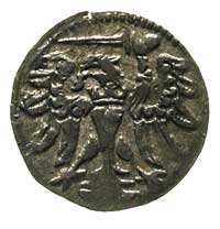 denar 1557, Gdańsk, odmiana z wąską i płaską koroną, T. 10, rzadki