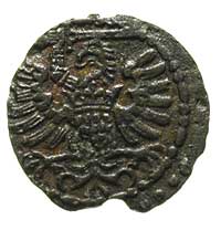 denar 1578, Gdańsk, T. 20, lekko wykruszony krążek, bardzo rzadki