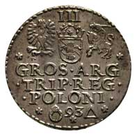 trojak 1593, Malbork, bardzo ładny