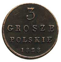 3 grosze 1828, Warszawa, Plage 169, Bitkin 1032,