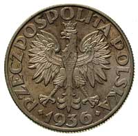 5 złotych 1936, Warszawa, °aglowiec, Parchimowicz 119, piękny egzemplarz, patyna