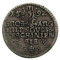 trojak 1592, Cieszyn, na awersie odmiana napisu ADA W D G D TESCH.., na rewersie rozetki po bokach..
