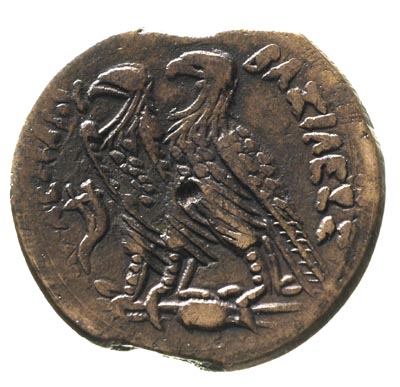EGIPT, Ptolemeusz VI Filometor 180-145 pne, AE- 33, Aw: Głowa Zeusa Ammona w prawo, Rw: Dwa orły stojące na piorunach w lewo, w polu z lewej podwójna kornukopia, brąz 27.80 g, Svoronos 1424, Sear 7900