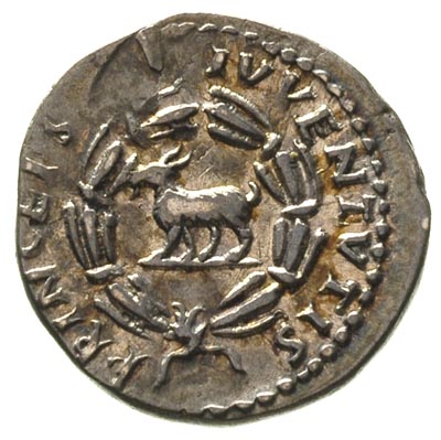 Domicjan 81-96, denar, Aw: Popiersie cesarza w prawo, Rw: Koza stojąca w lewo, wokoło wieniec laurowy, w otoku napis PRINCEPS IVVENTVTIS, Sear 2675, patyna