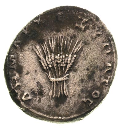 Trajan 98-117, cystofor, Efez lub Pergamon, Aw: Popiersie cesarza w prawo, Rw: Sześć kłosów zboża związanych w pęk, srebro 10.44 g, Sear 3113, patyna