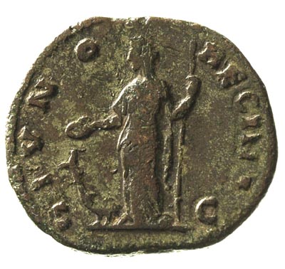 Lucilla- córka Marka Aureliusza, as, Aw: Popiersie cesarzowej w prawo, Rw: Junona stojąca w lewo, trzymająca paterę i berło, przy nodze po lewej paw, Sear 5516, zielona patyna