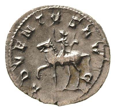 Trajan Decjusz 249-251, antoninian, Aw: Popiersie cesarza w prawo, Rw: Cesarz z uniesionymi rękoma na koniu kroczącym w lewo, napis wokoło ADVENTVS AVG, Sear 9366