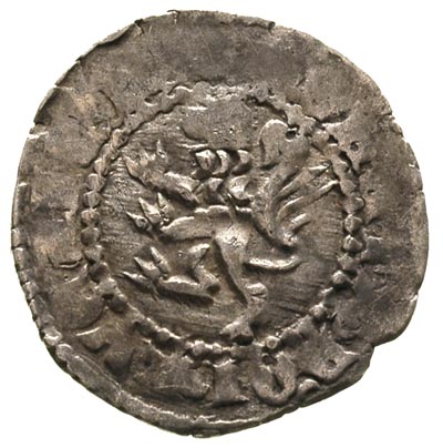 Kazimierz Wielki 1333-1370, kwartnik ruski, Aw: Lew kroczący w lewo, w otoku napis, Rw: Pod koroną duża litera K, w otoku napis, 1.32 g, bardzo rzadka moneta