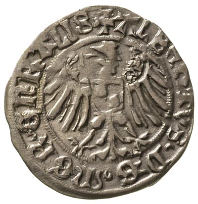 Albrecht von Hohenzollern 1511-1525, grosz 1517,