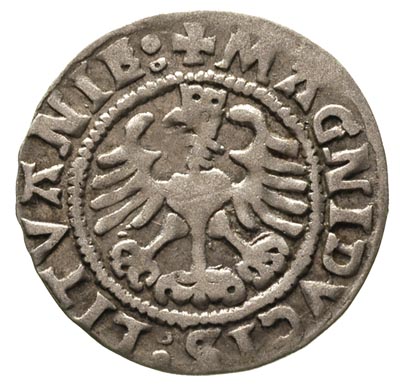 półgrosz 1524, Wilno, odwrócona 4 w dacie, Ivana
