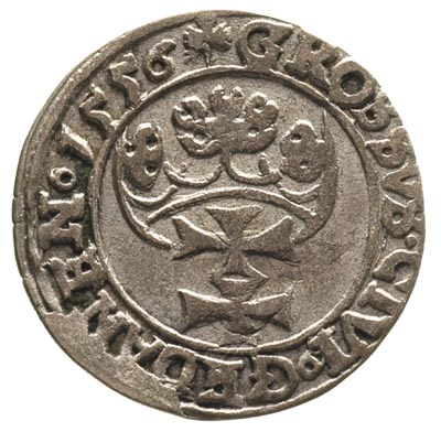 grosz 1556, Gdańsk, odmiana z dużą głową króla, T. 4, moneta wybita nieco wadliwym stemplem, rzadka