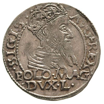 grosz na stopę polską 1566, Tykocin, Ivanauskas 565:84, bardzo ładny
