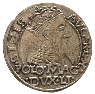 grosz na stopę polską 1567, Tykocin, na awersie 