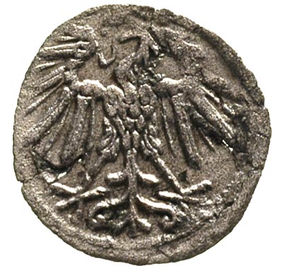 denar 1549, Wilno, Ivanauskas 433:60, T. 20, bardzo rzadki