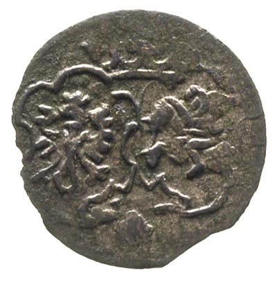 denar 1623, Łobżenica, T. 2, patyna