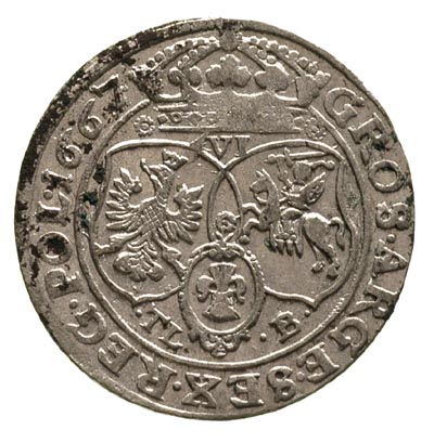 szóstak 1667, Bydgoszcz, ciekawa odmiana z kwiatkami po bokach korony i tarczami herbowymi, ładny