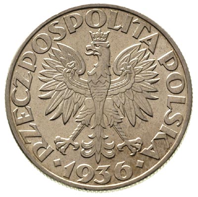 5 złotych 1936, Warszawa, Żaglowiec, Parchimowic