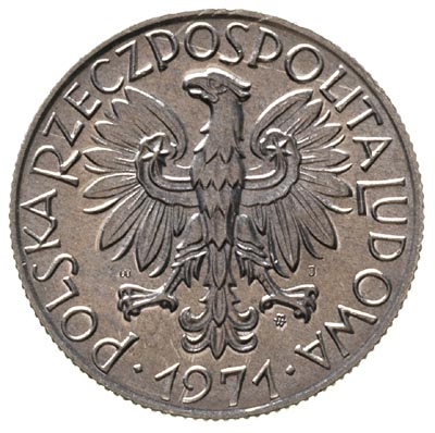 5 złotych 1971, Warszawa, Parchimowicz 220 d, rz