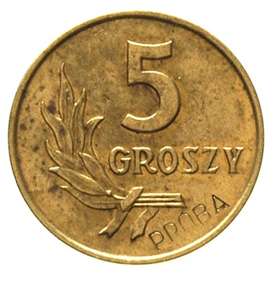 5 groszy 1958, na rewersie wklęsły napis PRÓBA, Parchimowicz P-204 a, nakład 100 sztuk, mosiądz 1.77 g, rzadkie