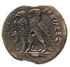 EGIPT, Ptolemeusz VI Filometor 180-145 pne, AE- 33, Aw: Głowa Zeusa Ammona w prawo, Rw: Dwa orły s..