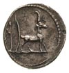 Cn. Plancius 55 pne, denar, Aw: Głowa Macedonii w prawo, na głowie płaski kapelusz- kausia, w otok..