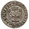 grosz 1556, Gdańsk, odmiana z dużą głową króla, T. 4, moneta wybita nieco wadliwym stemplem, rzadka