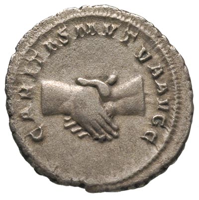 Pupienus 238, antoninian, Aw: Popiersie cesarza w prawo, Rw: Dwie uściśnięte dłonie, 4.42 g, RIC 10, rzadki