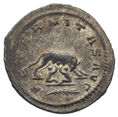 Gallien 253-268, antoninian bilonowy, mennica w Azji, Aw: Popiersie cesarza w prawo, Rw: Wilczyca karmiąca bliźnięta, poniżej liść palmowy, RIC 628, patyna