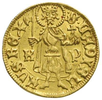 Ładysław V 1453-1457, goldgulden, Krzemnica, Aw: