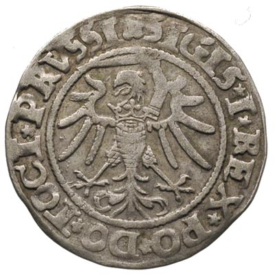 grosz 1535, Elbląg