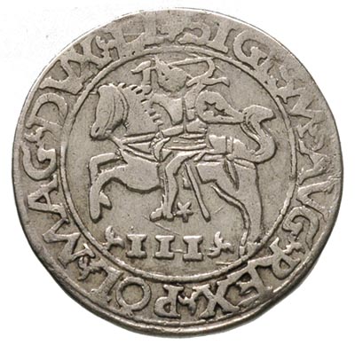 trojak 1565, Tykocin, Ivanauskas 646:95, T. 15, rzadka moneta z cytatem z pisma świętego, zwana trojakiem szyderczym