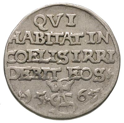 trojak 1565, Tykocin, Ivanauskas 646:95, T. 15, rzadka moneta z cytatem z pisma świętego, zwana trojakiem szyderczym