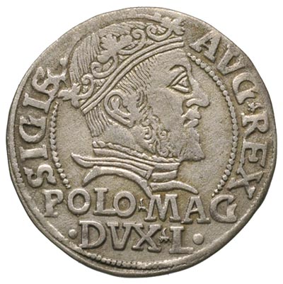 grosz na stopę polską 1547, Wilno, Ivanauskas 559:82