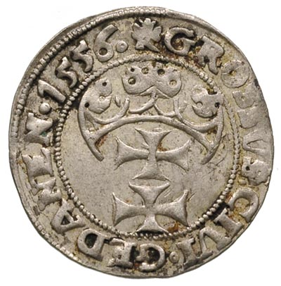 grosz 1556, Gdańsk, typ wcześniejszy z małą głow
