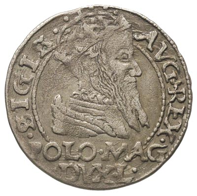 grosz na stopę polską, 1566, Tykocin, Ivanauskas