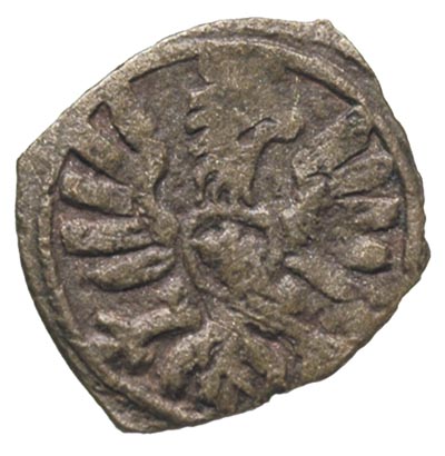 denar 1608, Poznań, T. 7, ładnie zachowany, paty