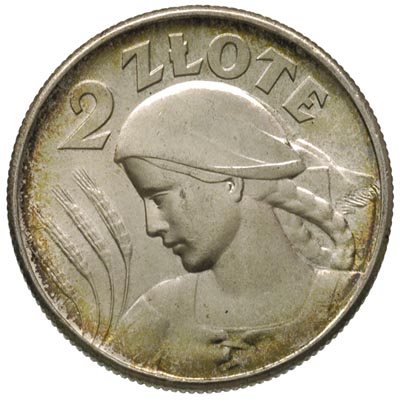 2 złote 1925, Londyn, z kropką po dacie, Parchim