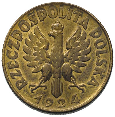 2 złote 1924, bez znaku mennicy, mosiądz 8.43 g, Parchimowicz P-133 f, wybito 40 sztuk, rzadkie, pięknie zachowany egzemplarz ze starą patyną