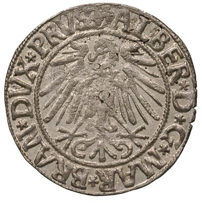 grosz 1543, Królewiec, Bahr. 1185, Neumann 46, p