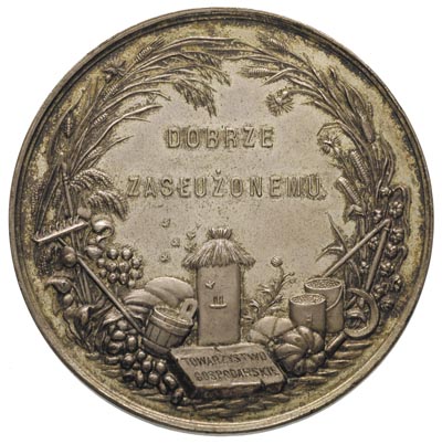 Towarzystwo Gospodarcze - medal autotstwa C. Rad