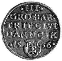 trojak 1536, Gdańsk, Aw: Popiersie i napis, Rw: Napis poziomy, herb i data, Kop.I.2, H-Cz.369