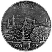 medal wybity w Wiedniu na pamiątkę oswobodzenia Lwowa spod okupacji rosyjskiej, Aw: Orzeł trzymają..