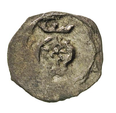 Kazimierz Wielki 1333-1370, denar koronny, Aw: Ukoronowana głowa króla, napis wokoło, Rw: Orzeł, napis wokoło, 0.19 g, niecentrycznie wybity, ale piękny egzemplarz, patyna