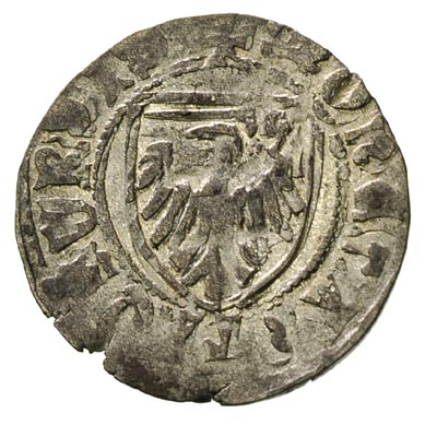 Kazimierz Jagiellończyk 1446-1492, szeląg toruński, Aw: Herb pruski w tarczy, Rw: Orzeł w tarczy
